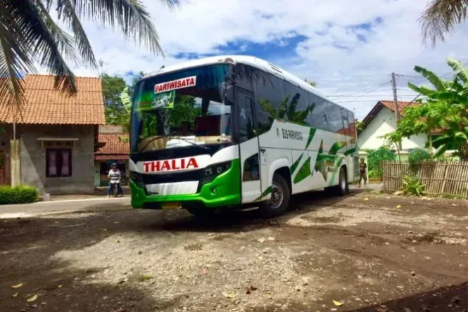 Jelajahi Cilacap dengan Santai: Bus Wisata yang Membuat Liburan Anda Menyenangkan